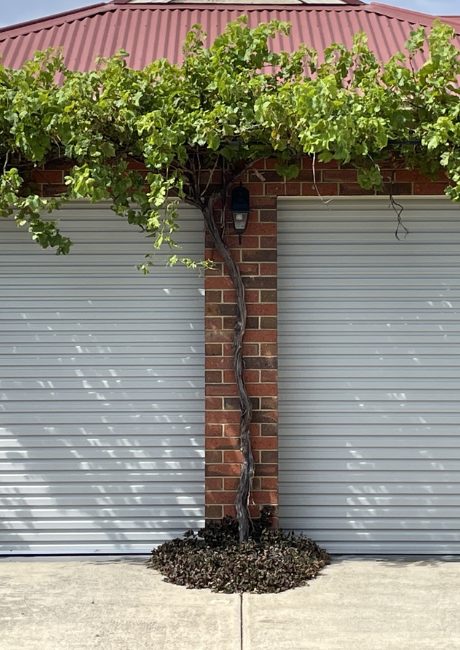 best garage door remotes